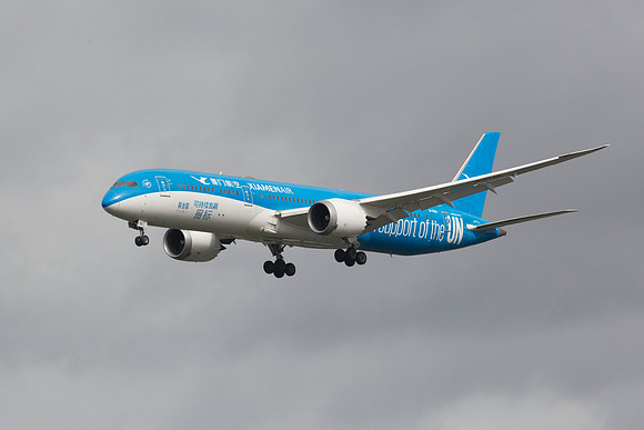 Boeing 787-9 Dreamliner (B-1356) Xiamen Airlines ['United Dream' livery]